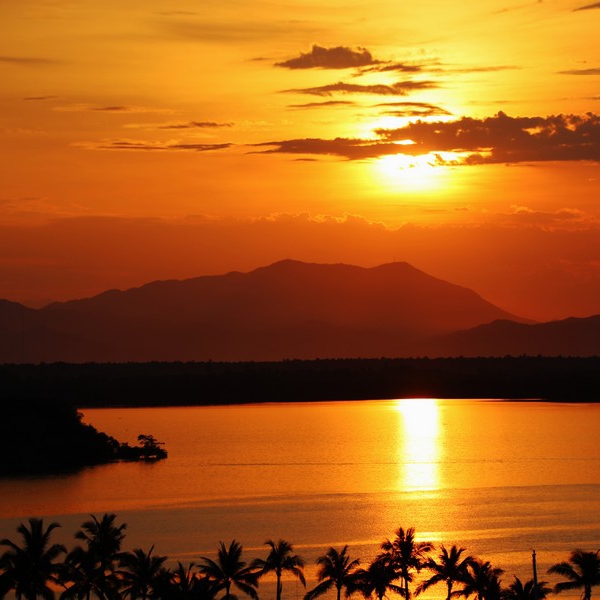 Barra de Navidad